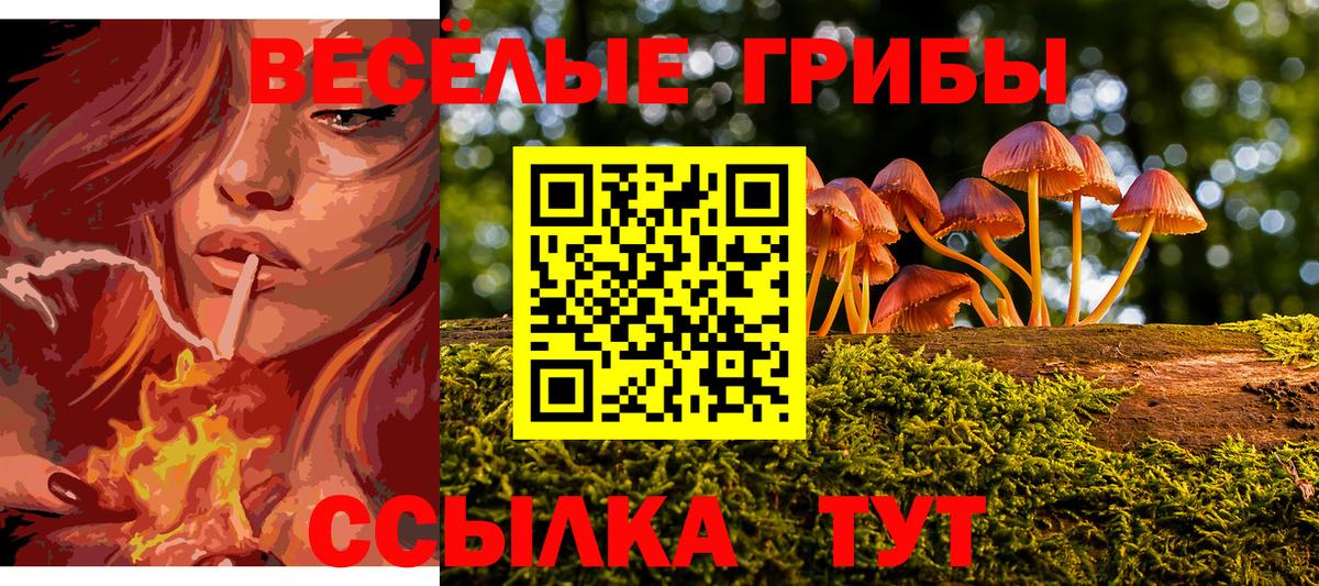 Абинск  Галлюциногенные грибы GOLDEN TEACHER  где продают наркотики  Вход с VPN 